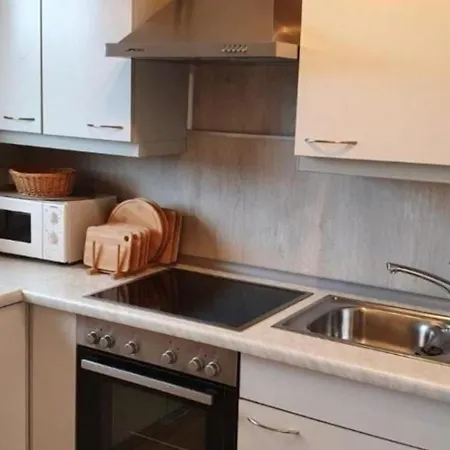 Harzgeiss In Braunlagehohegeiss شقة برونلاغ